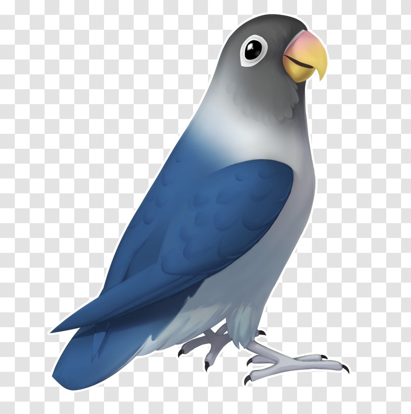 Lovebird Drawing Digital Art - Feather - Bird Transparent PNG