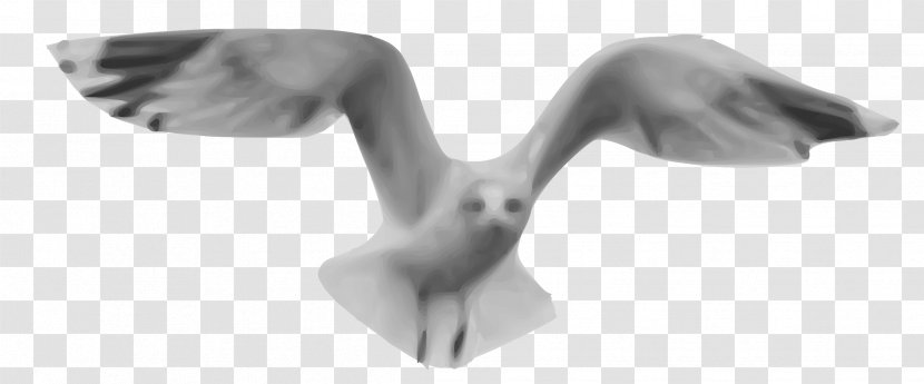 Gulls Clip Art - Remix - Black And White Transparent PNG