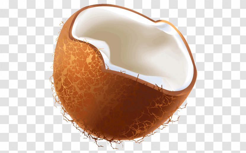 Coconut Fruit - Nut Transparent PNG