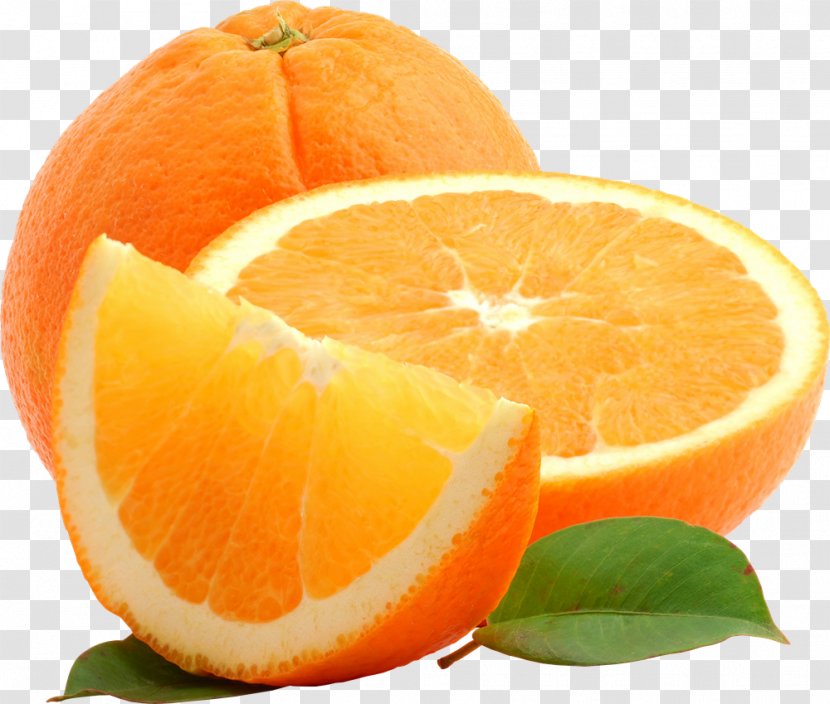 Orange Blog Clip Art - Natural Foods - Image Transparent PNG