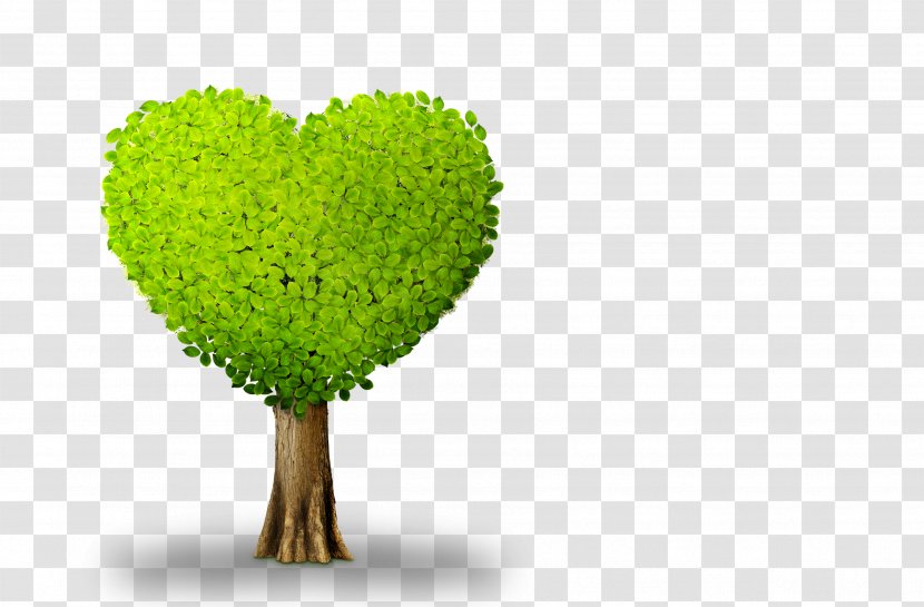 Plant Tree Heart - Flowerpot - Heart-shaped Transparent PNG