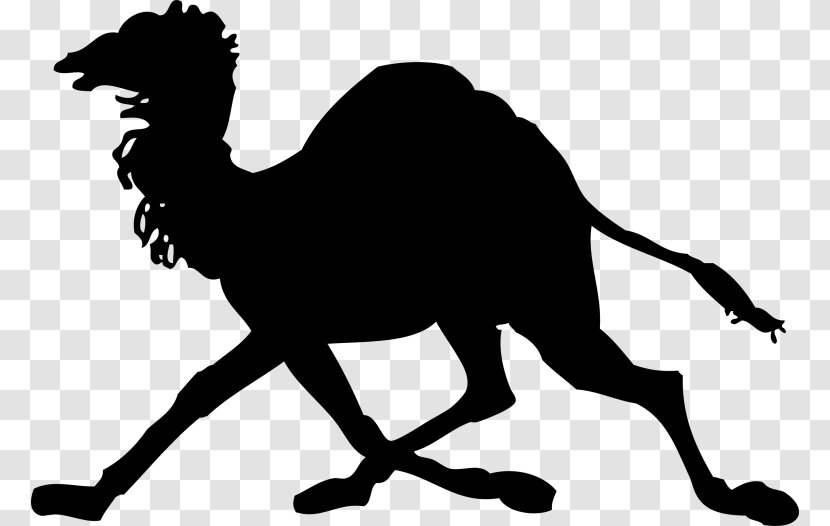 Camel Clip Art - Black And White Transparent PNG