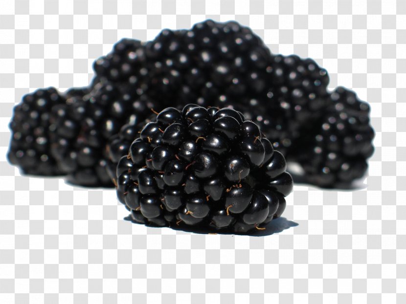 Blackberry Fruit Rubus Raspberry - Superfood - Raspberries Transparent PNG