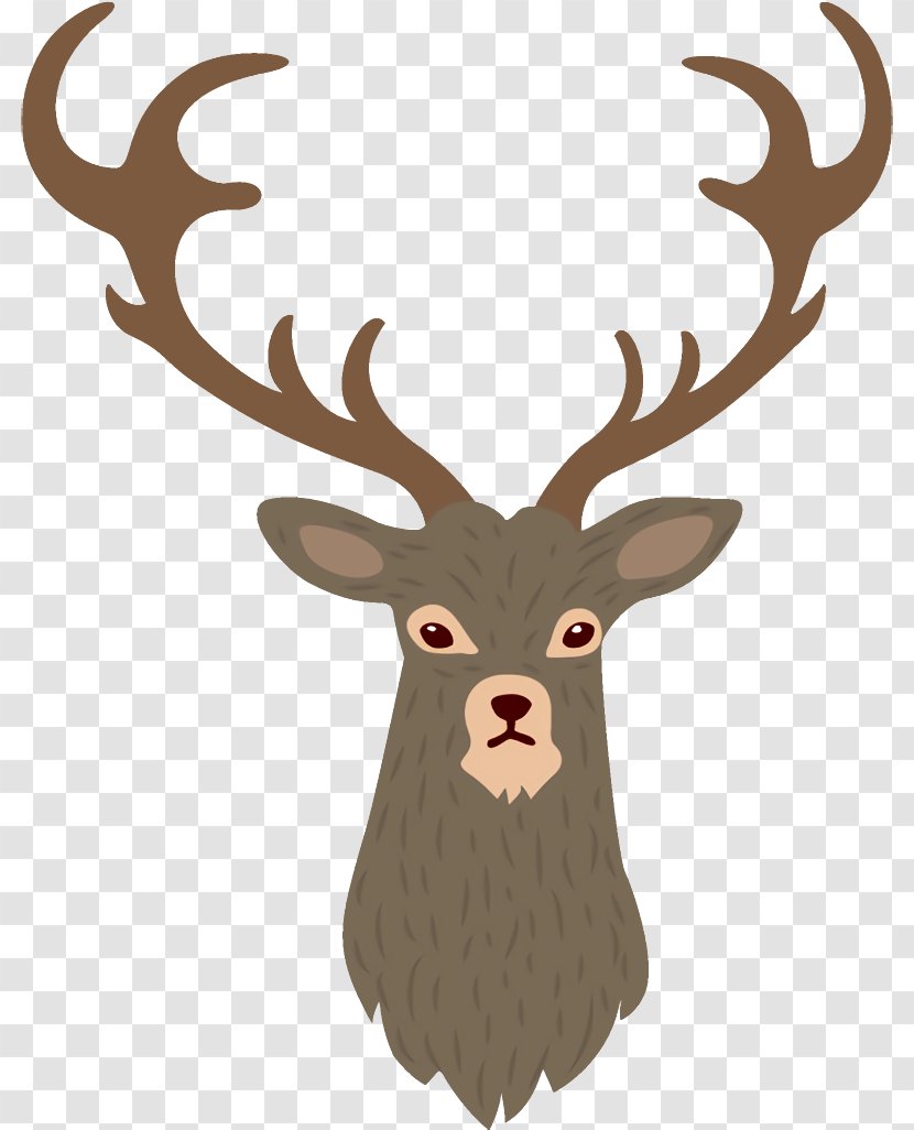Reindeer Christmas - Fawn Moose Transparent PNG
