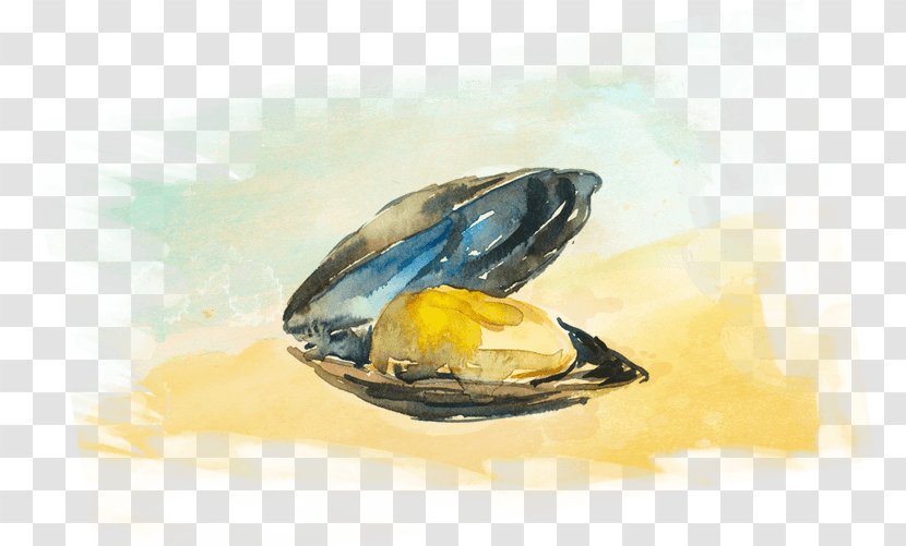 Mussel Clam Seafood Oyster Carpaccio - Giant Pacific Octopus Transparent PNG