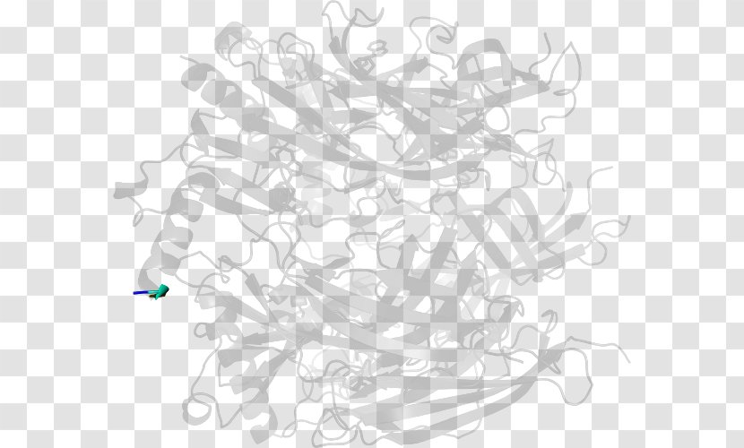 Drawing Line Art /m/02csf Clip - Point - Branch Transparent PNG