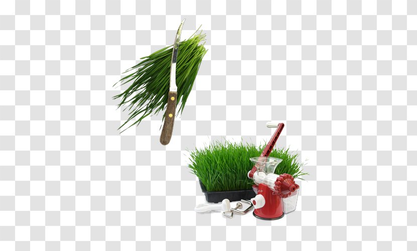 Juice Wheatgrass Icon Design - Straw Machine Transparent PNG