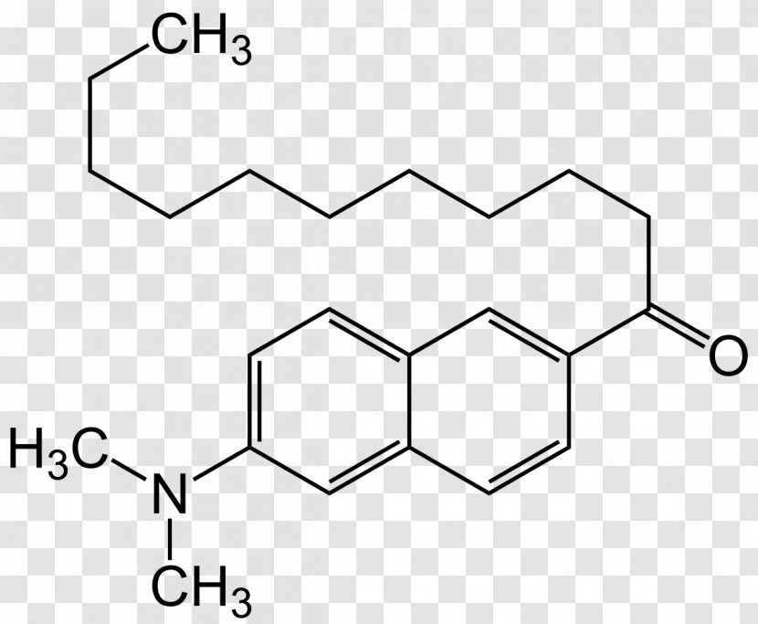 Alkaloid Chemical Compound Molecule Erythroxylum Coca Pyrrolidine - Silhouette - Watercolor Transparent PNG