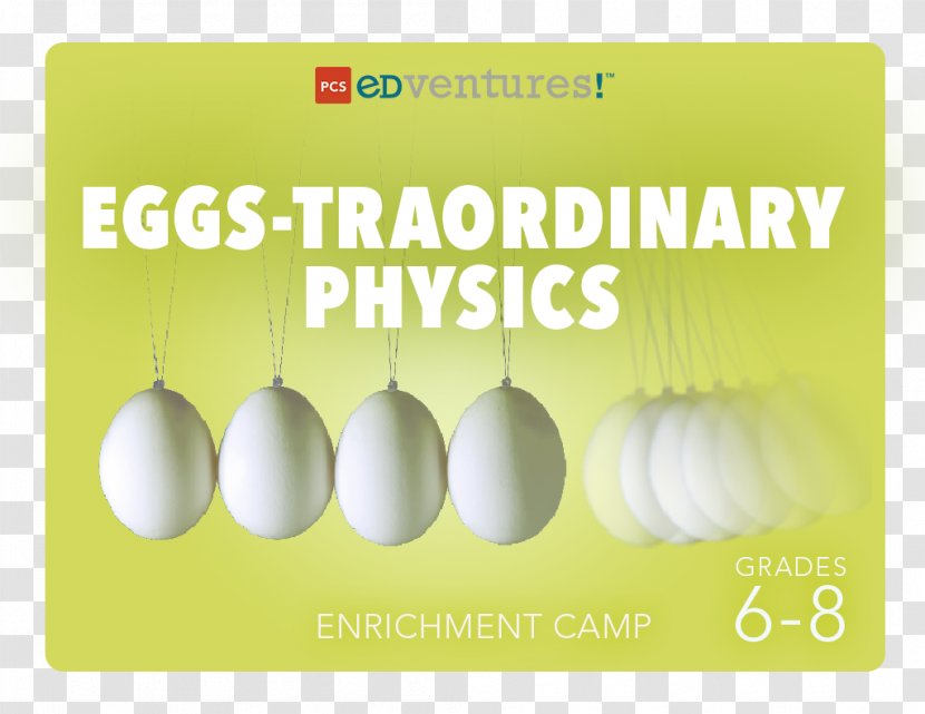 Physics Chicken Or The Egg Motion Transparent PNG