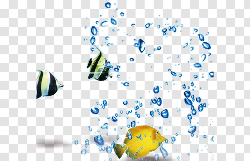 Fish - Yellow - Sea Transparent PNG