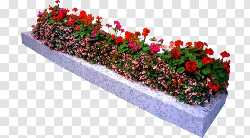 Flowerpot Flower Garden - Rgb Color Model Transparent PNG