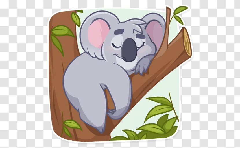 Koala Bear Rodent Cartoon - Mammal Transparent PNG