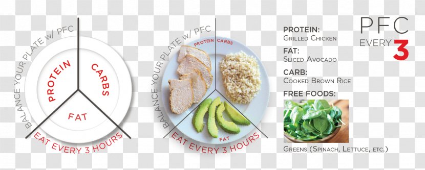 Carbohydrate High-protein Diet Eating Ketogenic - Watercolor - Health Transparent PNG