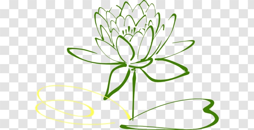 Drawing Line Art Clip - Flowering Plant - GREEN LOTUS Transparent PNG