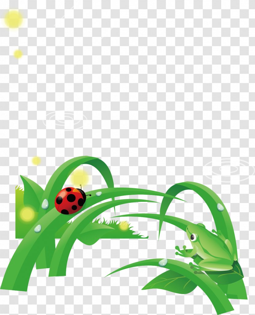 Euclidean Vector Element Clip Art - Flora - Frog Pond Green Leaves Ladybug Poster Transparent PNG