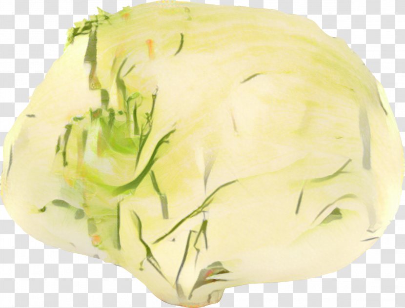 Vegetables Cartoon - Flower - Side Dish Transparent PNG