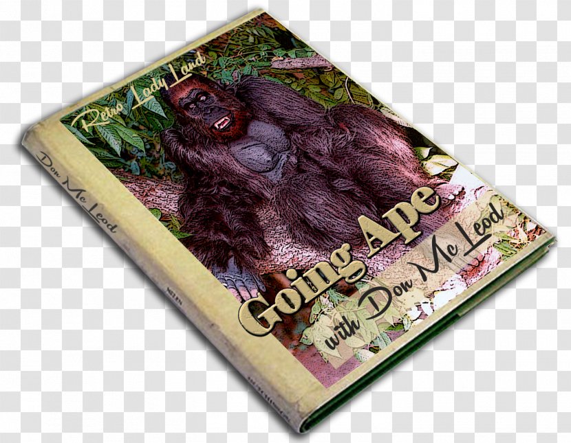 Gorilla Ape Information God Mother - Primate Transparent PNG