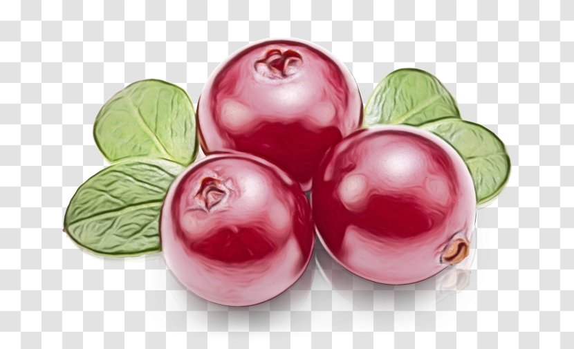 Fruit Food Plant Berry Superfood - Lingonberry - Currant Transparent PNG