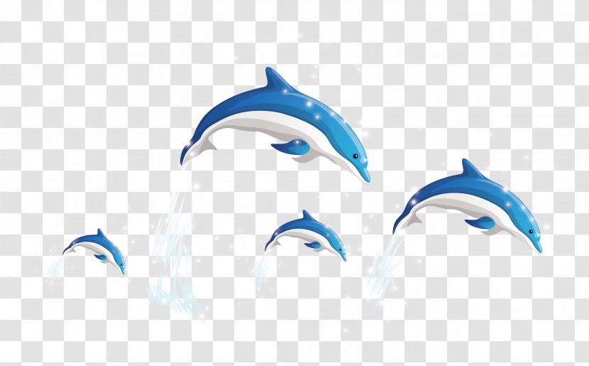 Dolphin Wallpaper - Whales Dolphins And Porpoises - Vector Transparent PNG