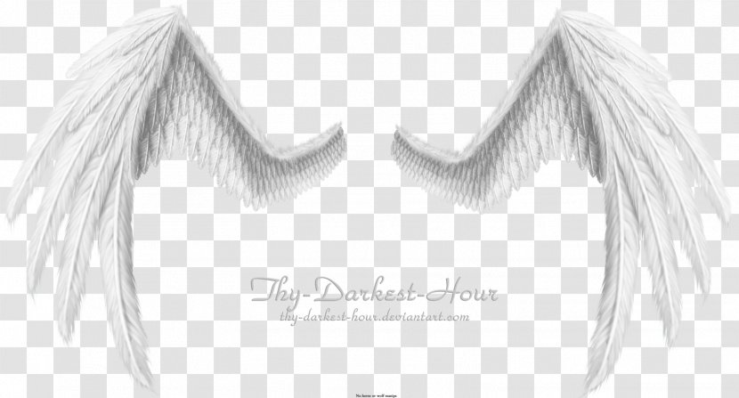 Wing Feather - Tree Transparent PNG