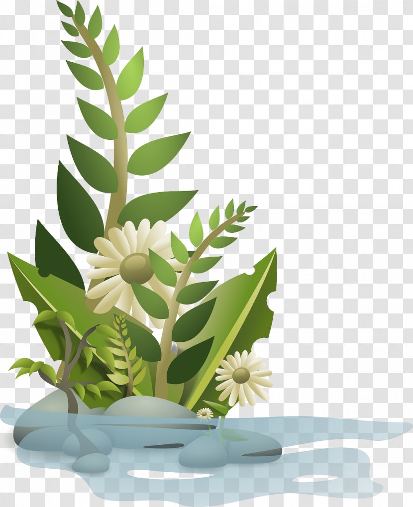 Funeral Flower Clip Art - Plant Stem Transparent PNG