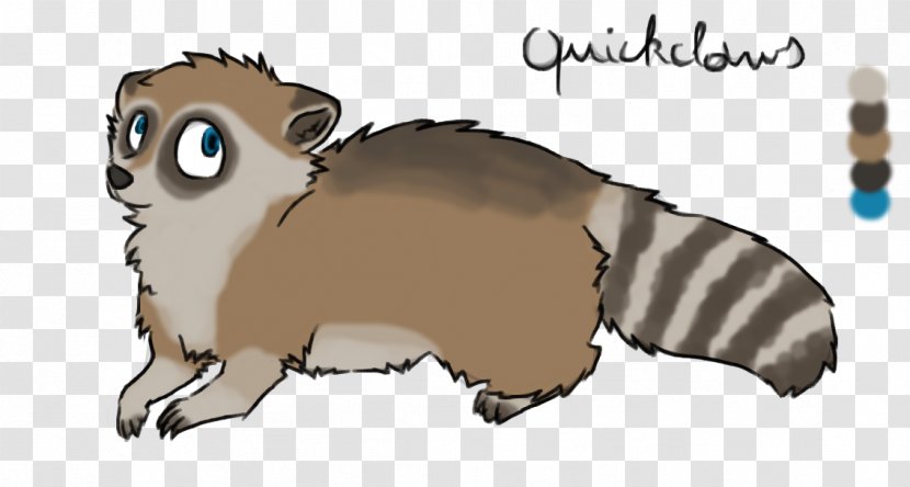 Whiskers Raccoon Cat Rodent Procyonidae Transparent PNG