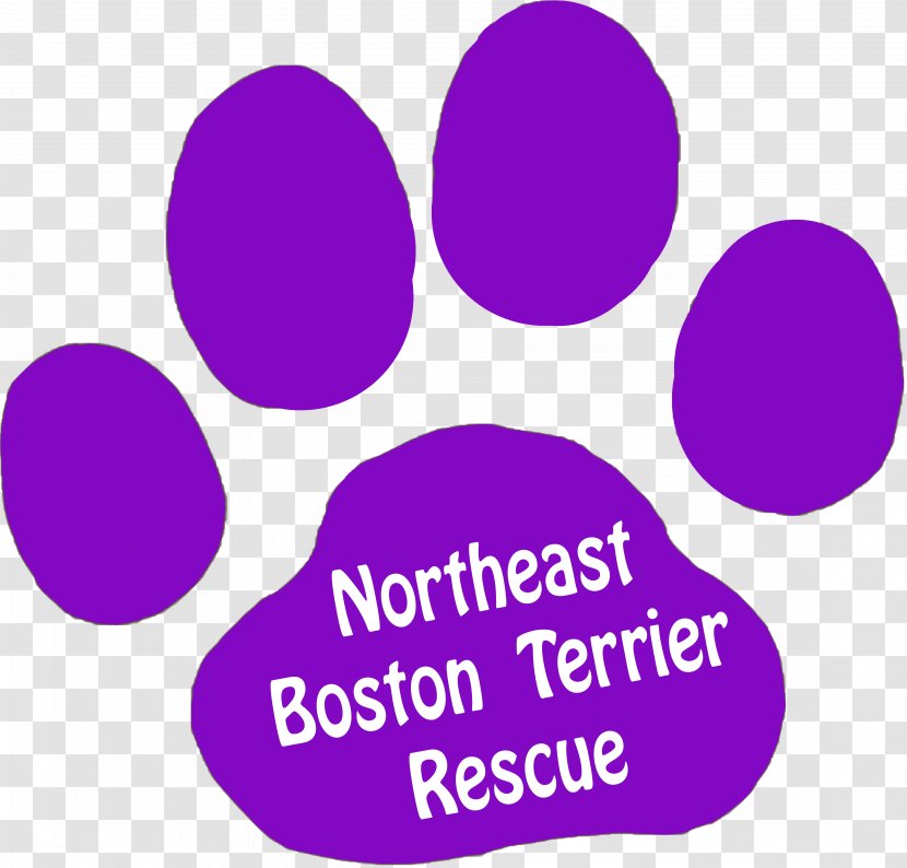 Northeast Boston Terrier Rescue Brand Transparent PNG