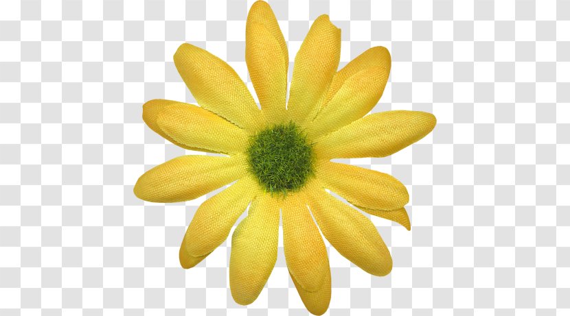Yellow Child Orange S.A. Var - Flower Transparent PNG