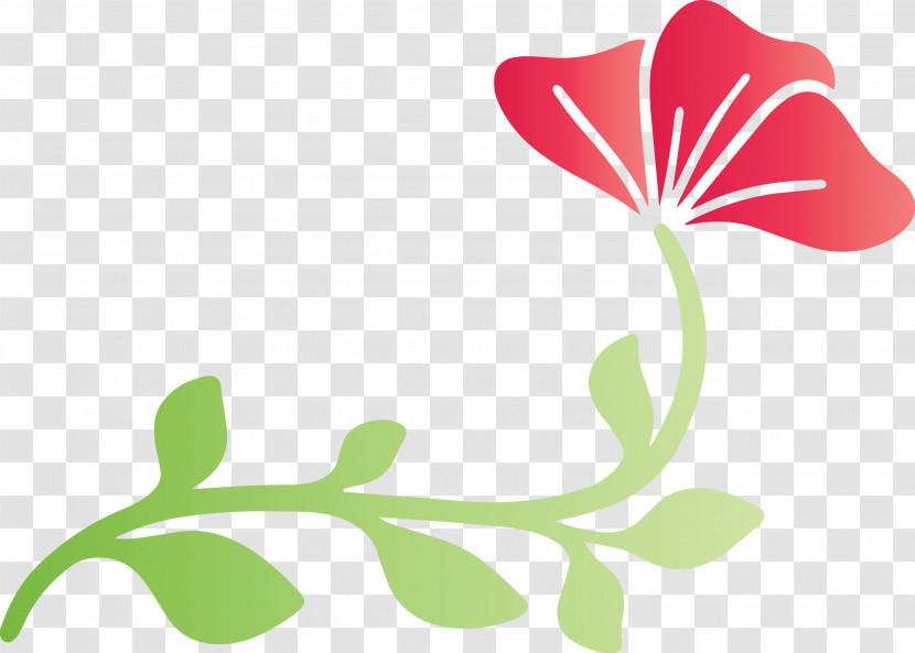 Floral Design Transparent PNG