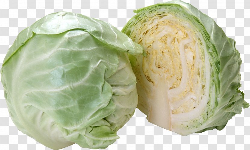 Savoy Cabbage German Cuisine Vegetable Kale - Cruciferous Vegetables - Image Transparent PNG