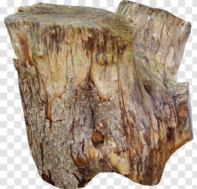 Table Trunk Tree Stump Wood Transparent PNG