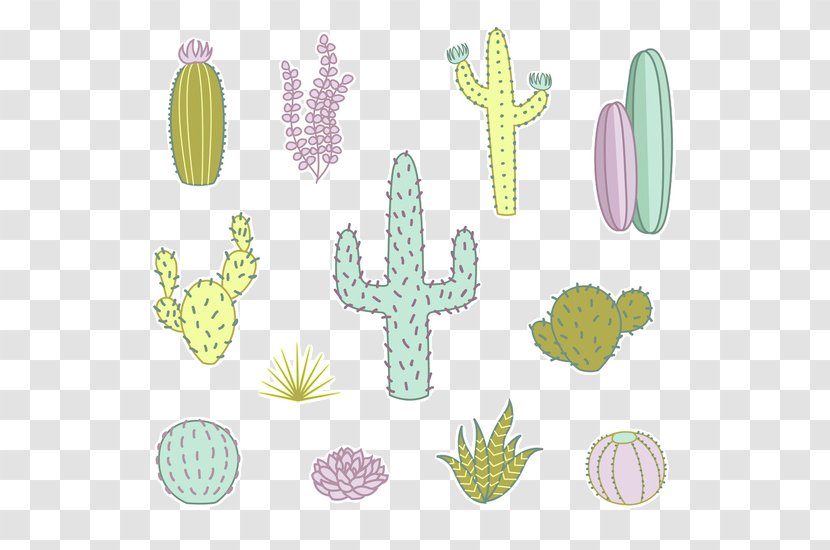 Cactaceae Succulent Plant Drawing Clip Art - Flowering - Cartoon Cactus Succulents Transparent PNG