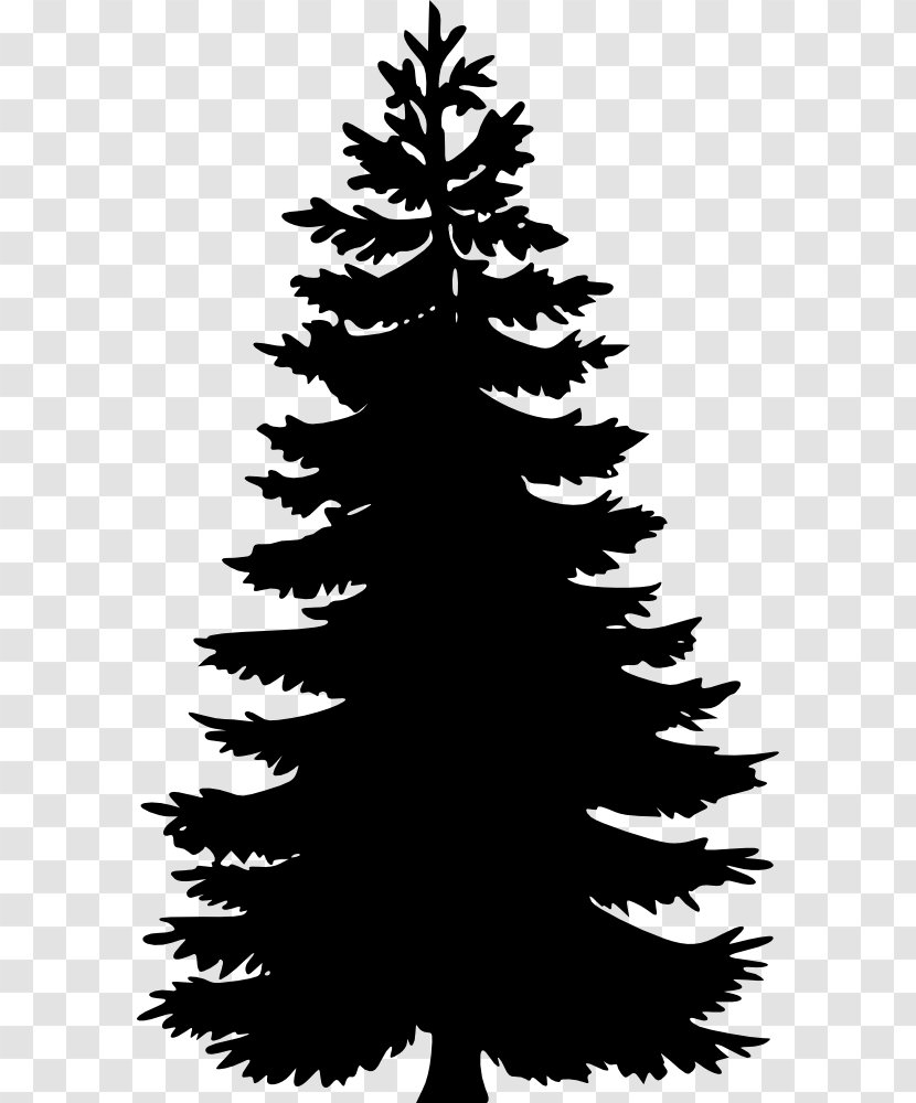 Pine Fir Tree Spruce Clip Art - Monochrome Photography Transparent PNG