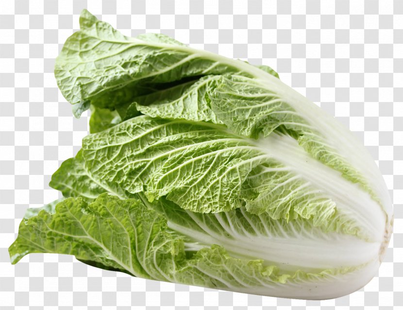 Red Cabbage Salad Napa Vegetable - Recipe Transparent PNG