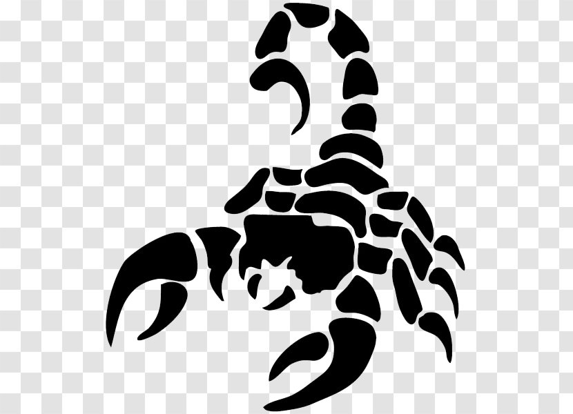 Scorpion Clip Art - Black And White Transparent PNG
