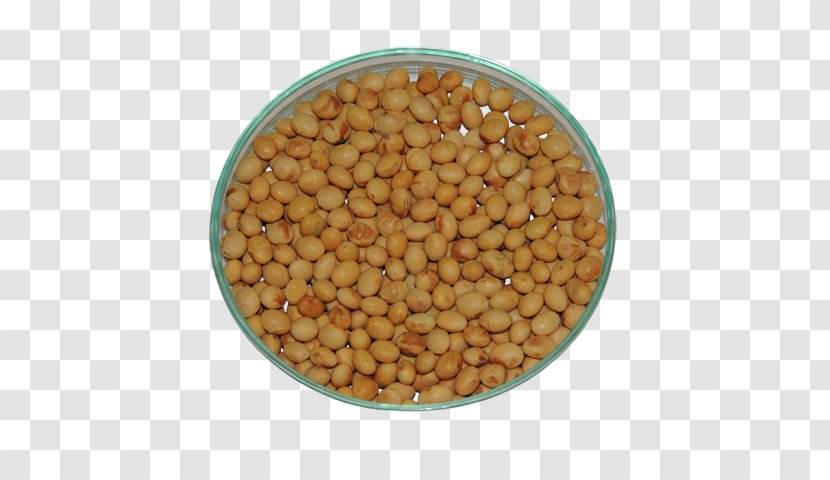 Donskaya Soya Lentil Vegetarian Cuisine Soybean Seed - Cultivar - Maturity Transparent PNG