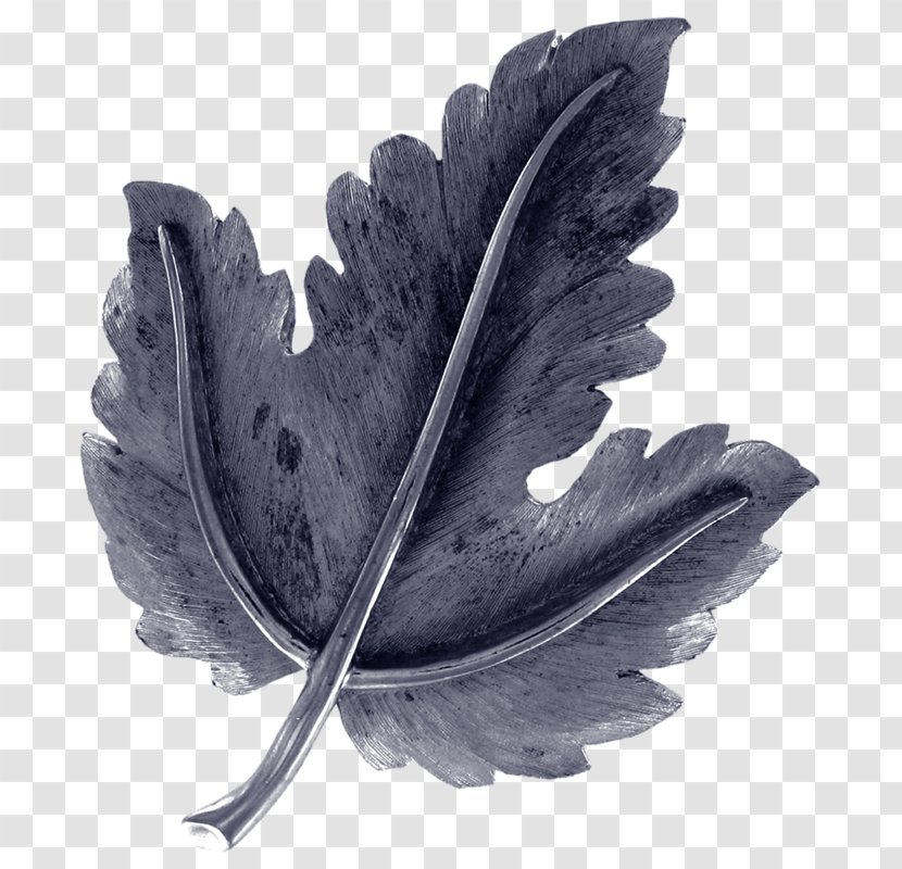 Leaf White - Wing Transparent PNG