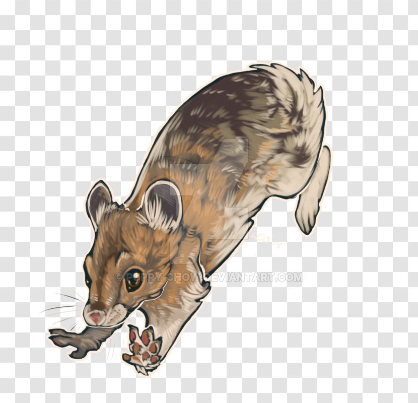 Red Fox Puppy Chow Cat Art Transparent PNG
