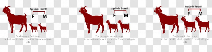 Logo Nutrient Freeze-drying Brand Font - Cartoon - Goat Farming Transparent PNG