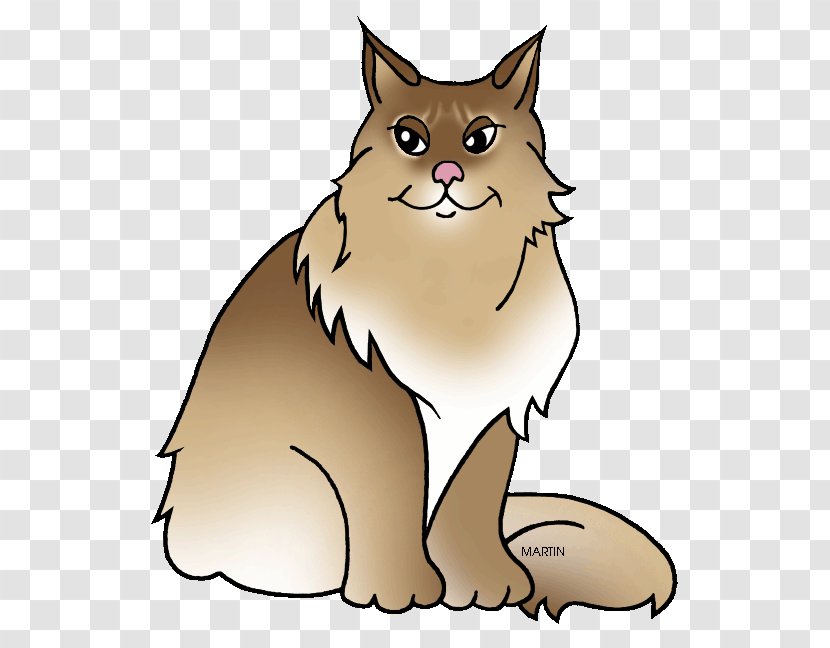 Maine Coon Maine, Raccoon Kitten Clip Art - Cat Breed - Cliparts Transparent PNG