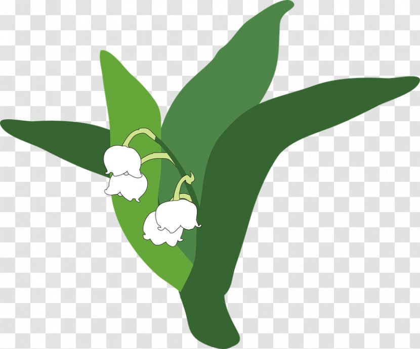 Lily Of The Valley Clip Art - Plant - Pic Transparent PNG