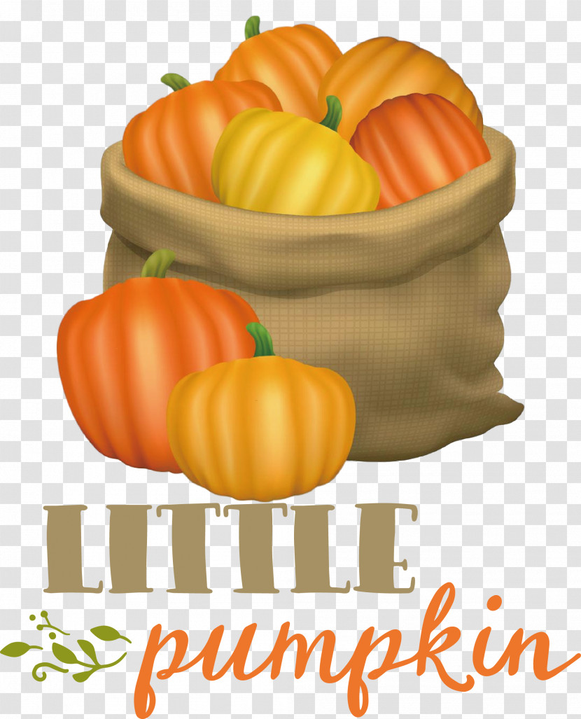 Little Pumpkin Thanksgiving Autumn Transparent PNG