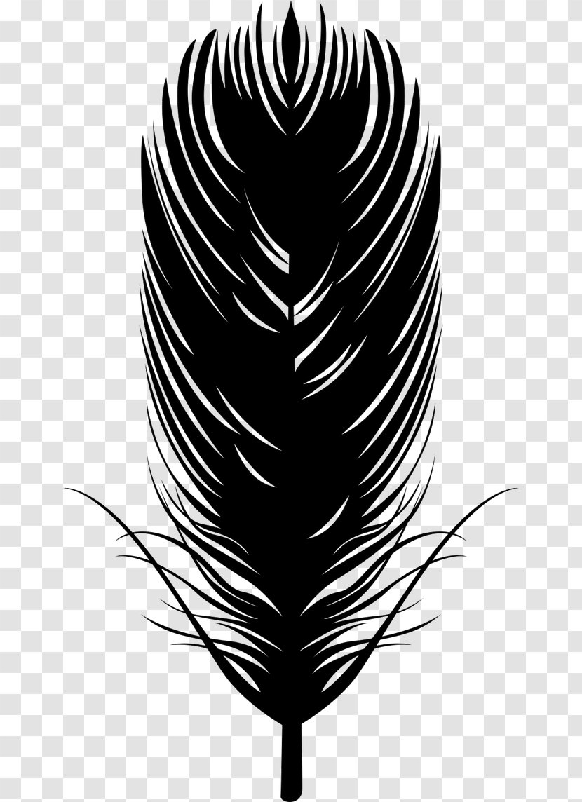 Feather Cdr Silhouette Euclidean Vector - Plant - Black Quill Pen Transparent PNG