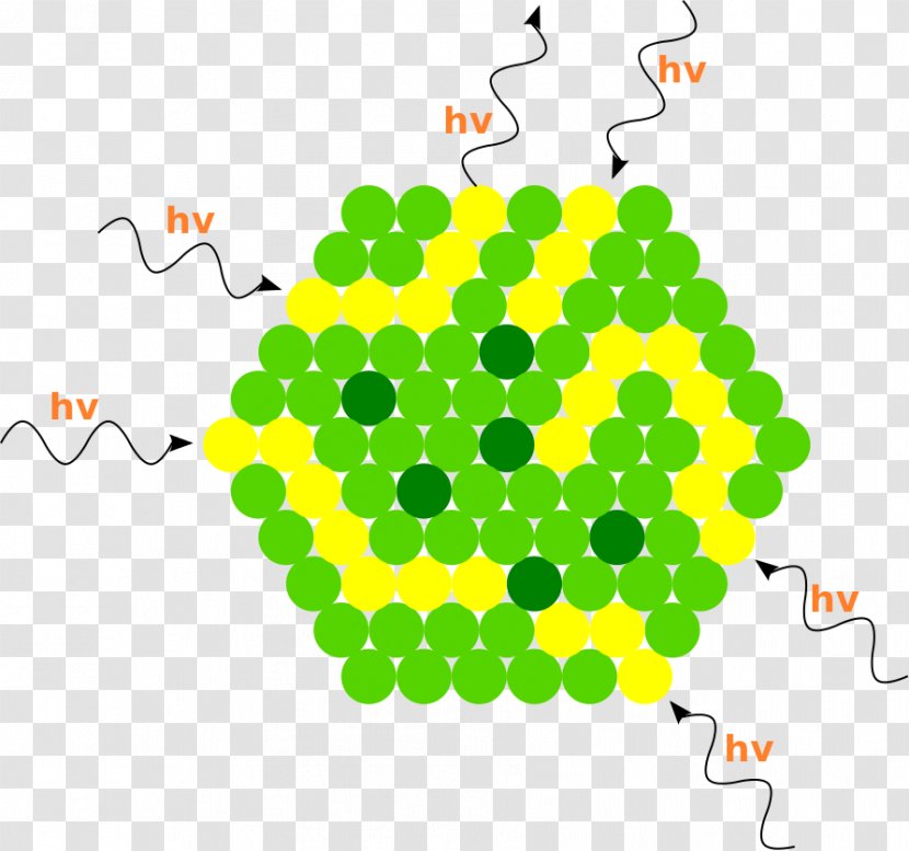Light Photon Photosynthesis Chloroplast Energy - Absorption Transparent PNG