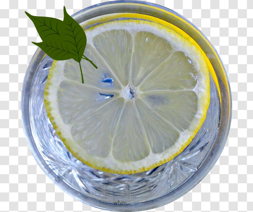 Lemon Lime Citric Acid Water - Food Transparent PNG