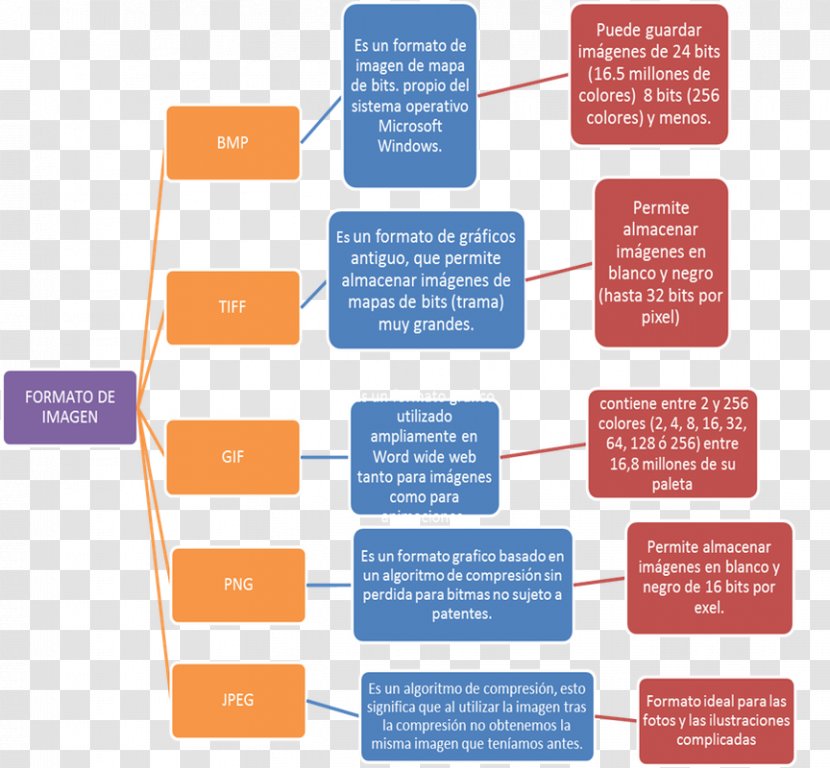 Diagram Microsoft Word Office Chart - Communication Transparent PNG