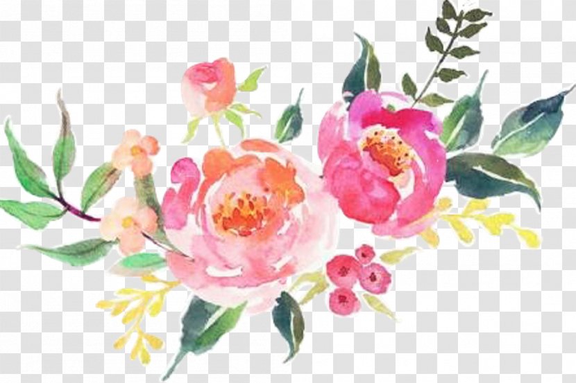 Watercolor Painting Image Drawing Flower - Camellia Transparent PNG