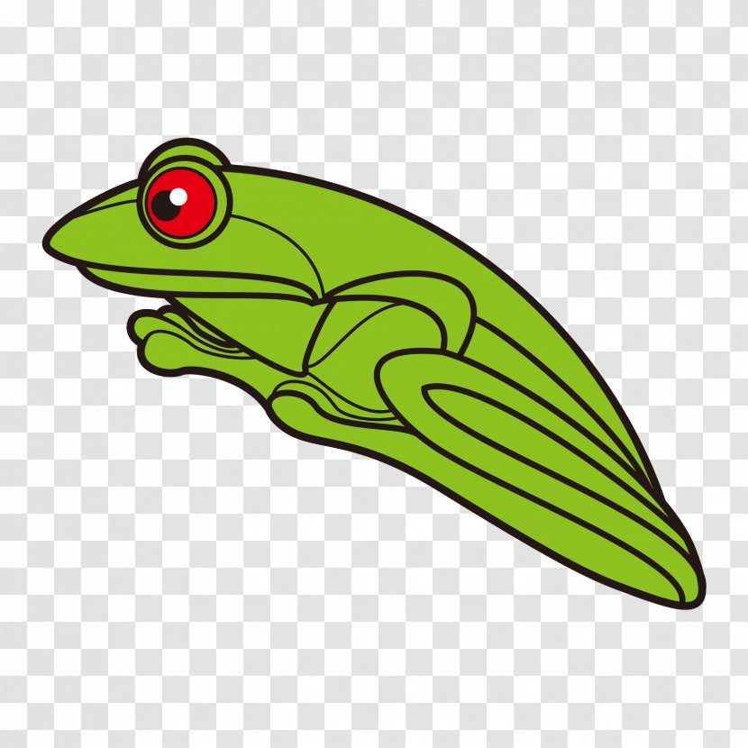 Tree Frog Clip Art - Animal - Vector Green Transparent PNG