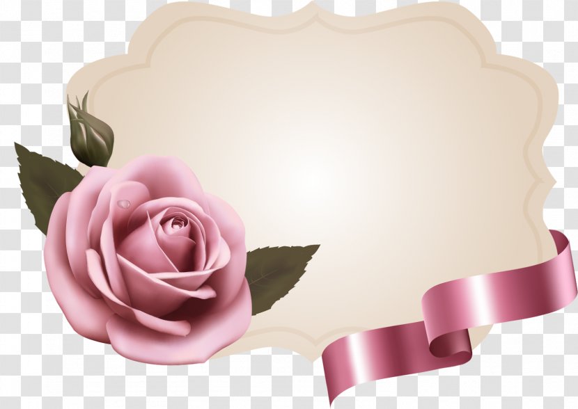 Garden Roses Pink Paper Flower - Photo Frames Transparent PNG