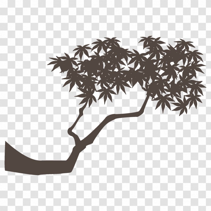 Maple Branch Leaves Autumn Tree - Plane - Plant Stem Transparent PNG